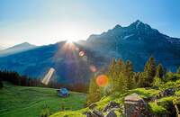 Adelboden: Bergpanorama mit Wald