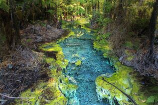 Aotearoa - Impressionen aus Neuseeland 5