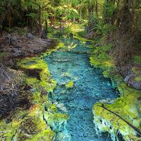 Aotearoa - Impressionen aus Neuseeland 5