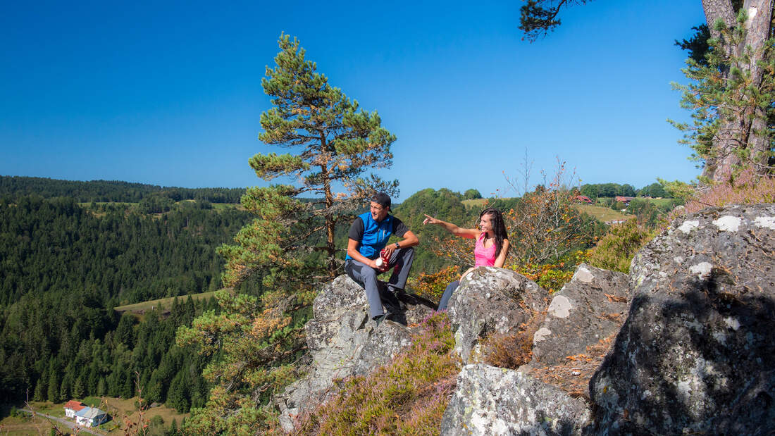 Auf dem Albsteig im Schwarzwald 