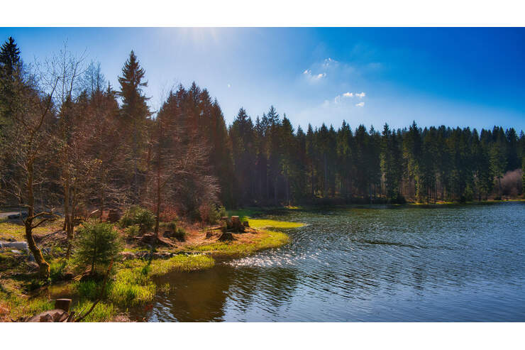Rennsteig Der älteste Fernwanderweg Deutschlands