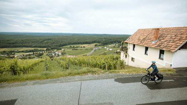 Austria Radspecial Genusstouren: Paradiesroute Südburgenland