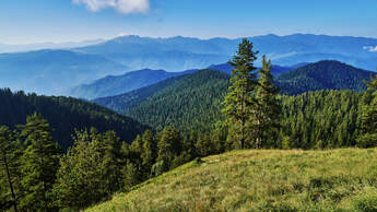Borjomi Kharagauli National Park, Georgien Kleiner Kaukasus Wandern