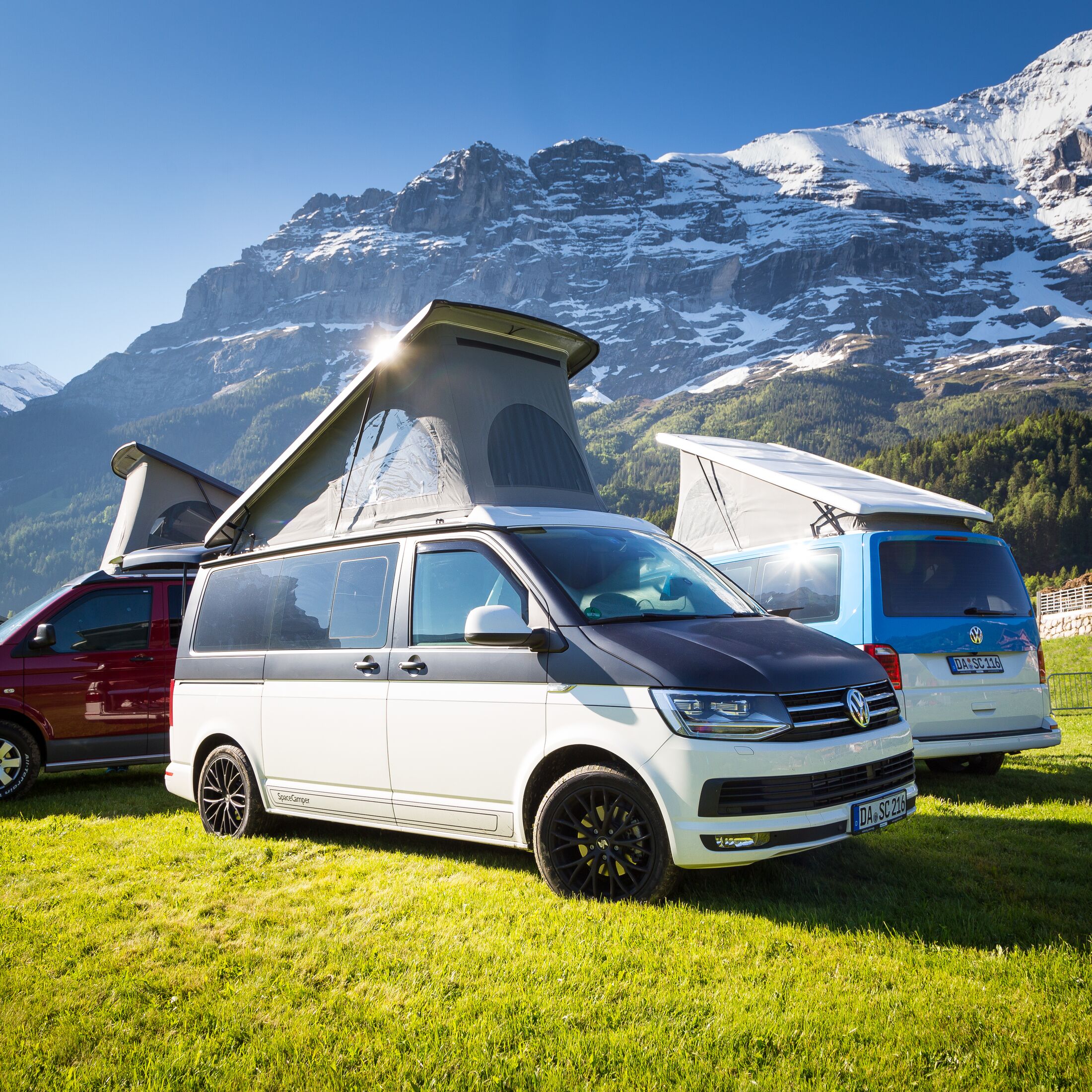 VW T4 California: Wie gut ist er als Gebraucht-Campingbus?
