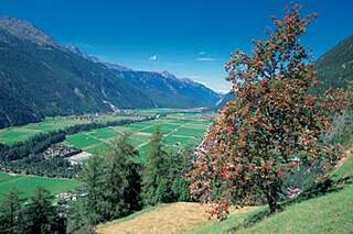 Familienausflug mit Forelle