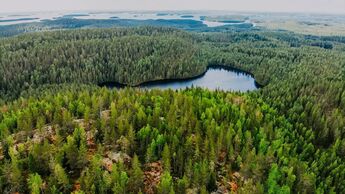Finnlands schier endlose Wälder