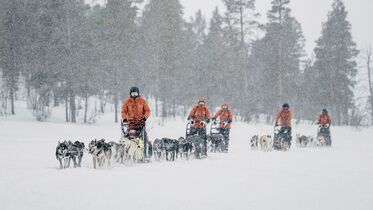 Fjällräven Polar Hundeschlitten Event