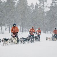 Fjällräven Polar Hundeschlitten Event