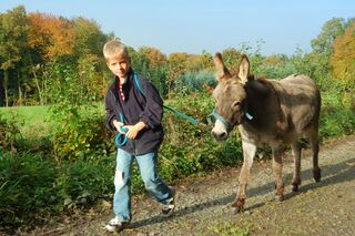 GettyImages/frahaus: Junge führt einen Esel