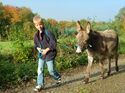GettyImages/frahaus: Junge führt einen Esel