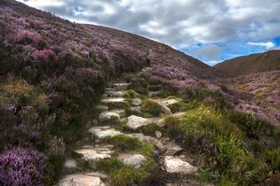 Hiking trail in Cairngorms National Park. Aberdeenshire, Scotland
