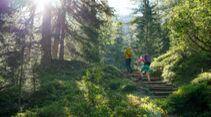 Hoch-Tirol-Trail OD 05/2022