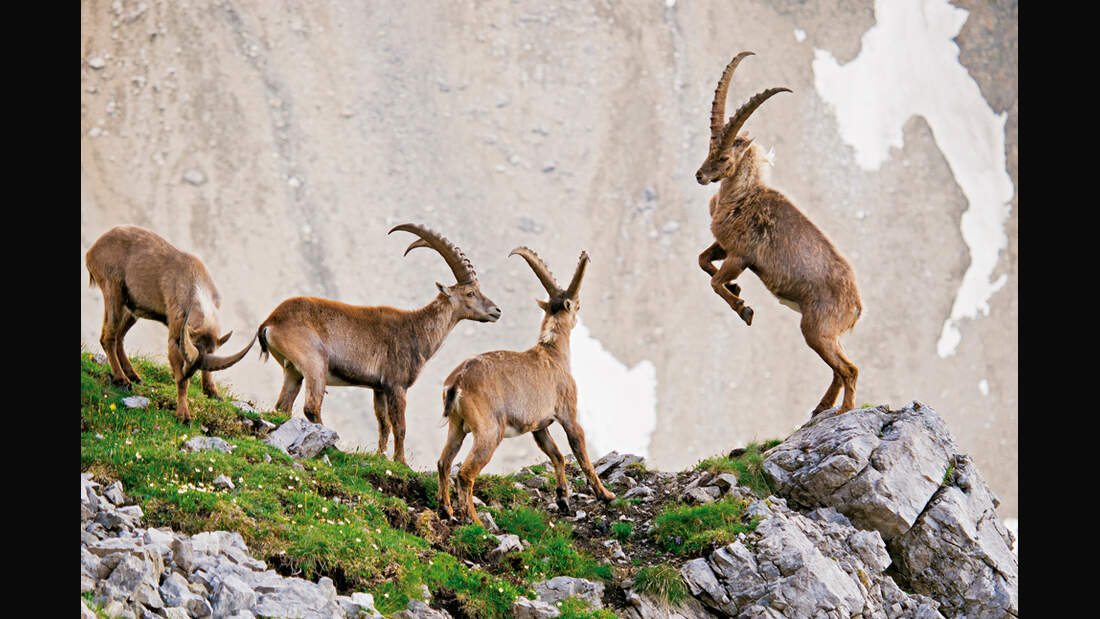 KL-Alpenvereins-Jahrbuch-2014-1 (jpg)