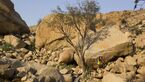 KL-Bouldern-in-Namibia-c-Jean-Louis-Wertz-Steph_7c_0504A (JPG)