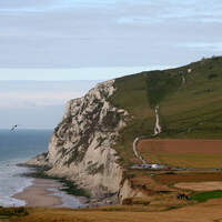 KL_Calais_IMG_1491 (jpg)
