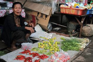 KL_Laos_Schoeffl_Markt (jpg)