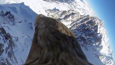 KL Mont Blanc von oben - gefilmt vom Rücken eines Königsadlers Vogelperspektive