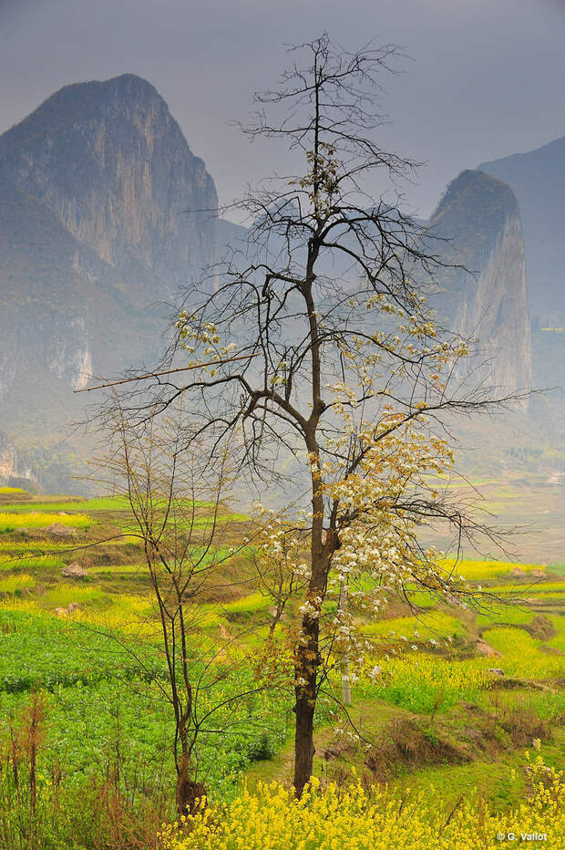 KL_Petzl_Roctrip_Vallot_5884004953_d590746fb4_o (jpg)