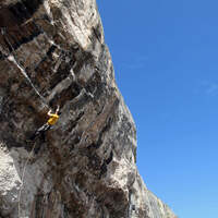 KL_Topten-Tipps_Pete Robins LPT