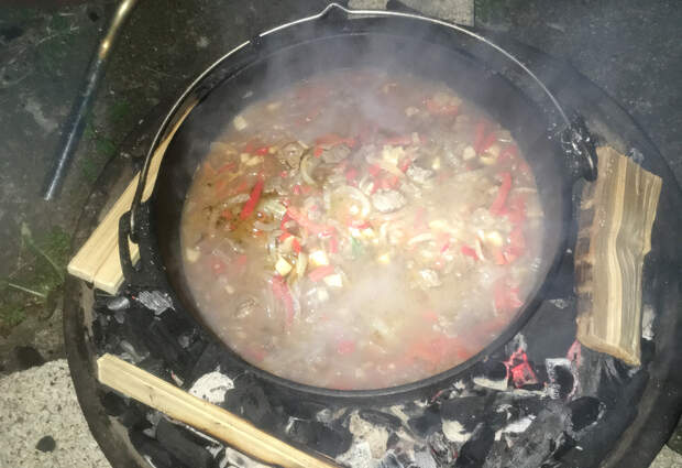 Kochen am Lagerfeuer - Dutch Oven