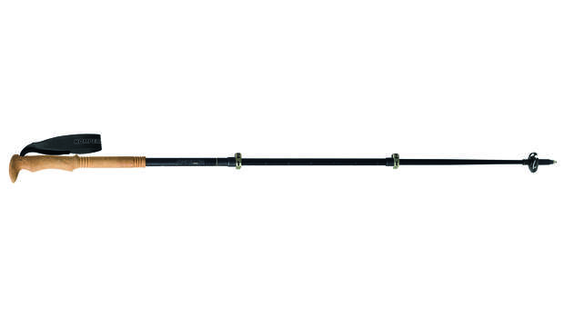 Komperdell Calima Carbon