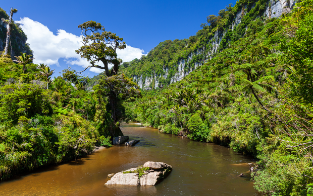 Landschaft des Paparoa Nationalparks in Neuseeland