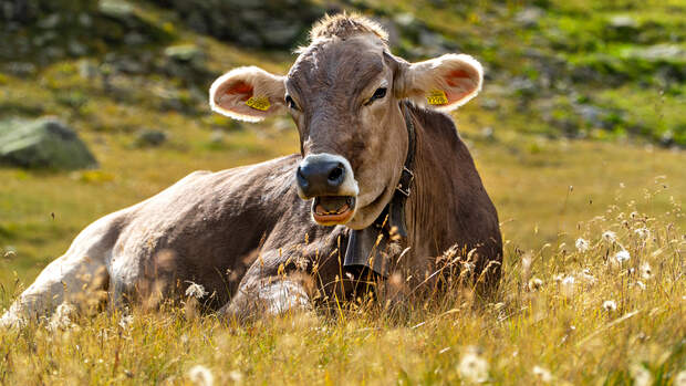 Livigno Italien