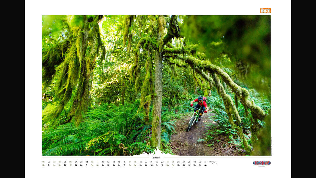 MB-MTB-Kalender-2015-JAN-TMMS (jpg)