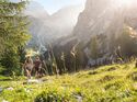 Marmolata - Dolomiten