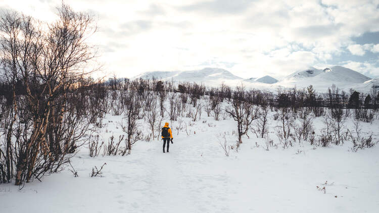 With OM-5 camera in Lofoten