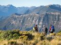 Neuseeland - Great Walks - Paparoa Trek