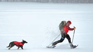 OD 0112 Schneeschuhe