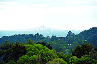 OD-0114-Neuseeland-Hillary-Trail-1 (jpg)