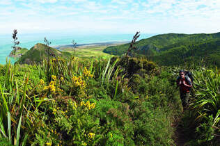 OD-0114-Neuseeland-Hillary-Trail-6 (jpg)