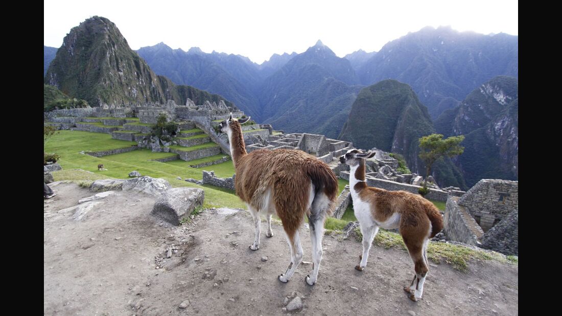 OD 0211 Reise Machu Picchu Salkantay Trek Bild 18 (jpg)