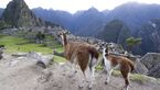 OD 0211 Reise Machu Picchu Salkantay Trek Bild 18 (jpg)