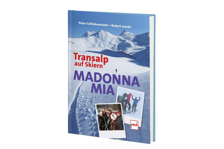 Io Voglio Del Ver La Mia Donna Laudare Parafrasi
