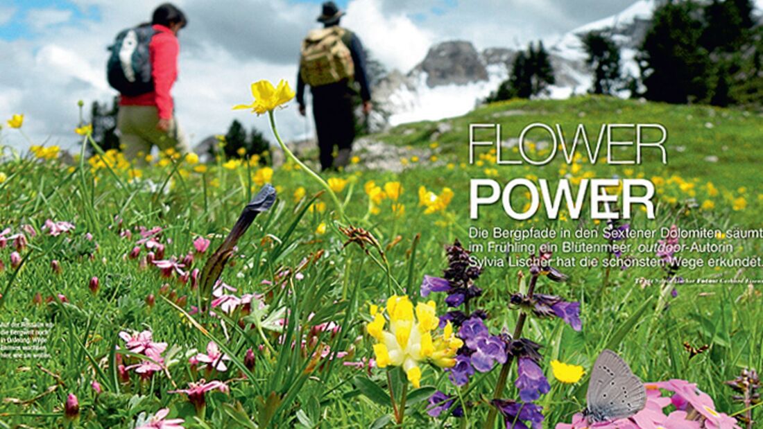 OD 0414 Südtirol Sextener Dolomiten Frühling Blumenwiesen Almwiesen Wandern