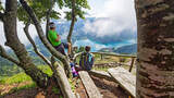 Alle Schicke trekkingschuh im Überblick