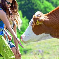 OD-0813-Alpe-Adria-Trail-9