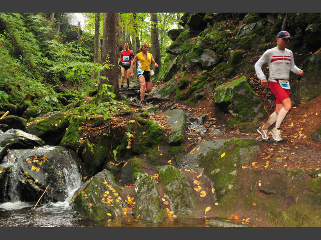 OD 0911 woertherseetrail6 (jpg)