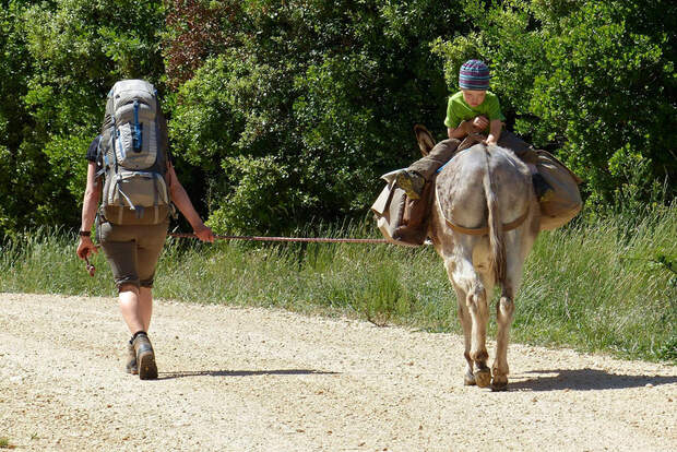 OD 0916 Leserreportage Frankreich Eseltrekking
