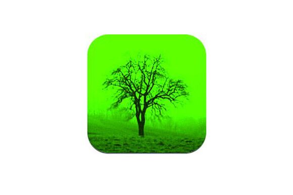 OD-1012-Apps-Baumbestimmung (jpg)