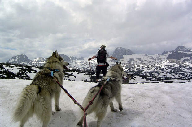 OD 1210 Abenteuerrennen Iditarod Schlittenhunde-Christian-Vajk_pixelio.de (jpg)
