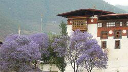 OD-2012-Reiselaender-Trend-Bhutan
