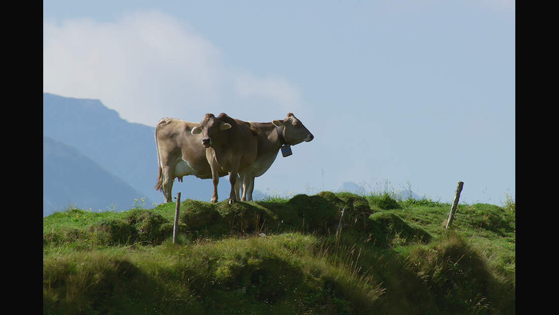 OD-2013-Die-Alpen7 (jpg)