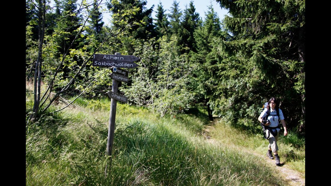 OD 2014 Baiersbronn Schwarzwald Naturwochenende Deutschland