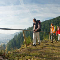OD 2014 Fernwanderweg Eifelsteig