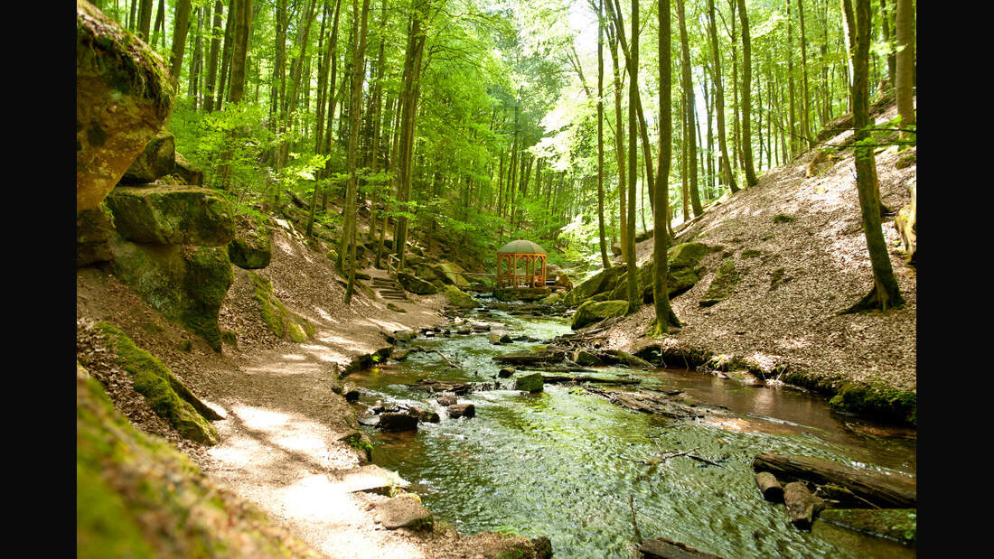 Im Pfälzerwald: Wandern auf dem Pfälzer Waldpfad - outdoor-magazin.com