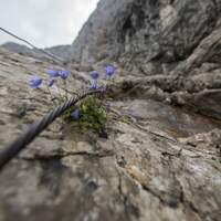 OD 2014 adidas Gripchallenge Zugspitze 2014